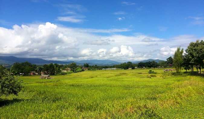 A picture of a field in Isaan in Thailand
