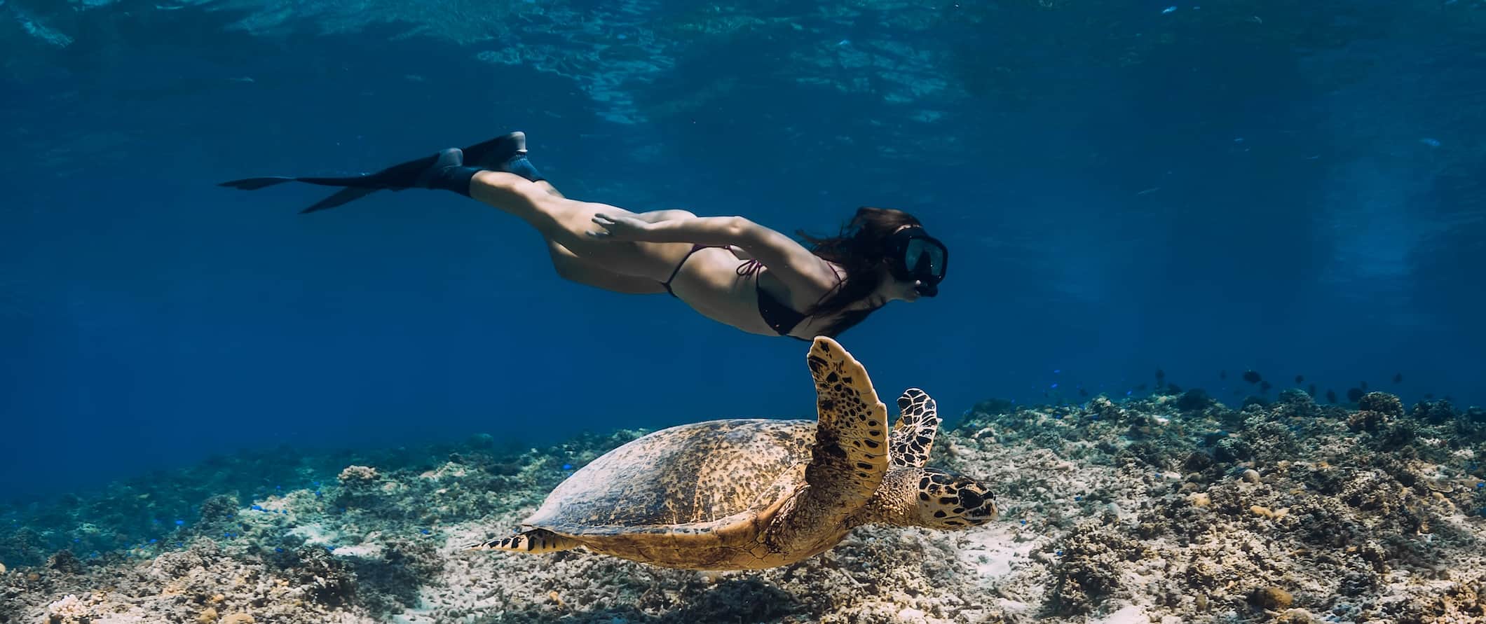 A women swimming with a sea turtle underwater in the Gili Islands, Indonesia