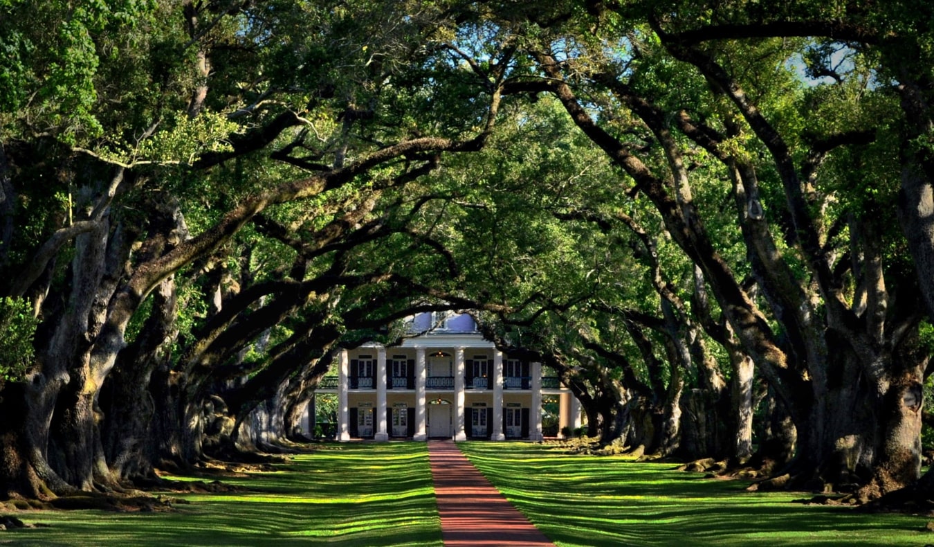 The tree-lined path towards Oak Alley plantation near New Orleans, USA