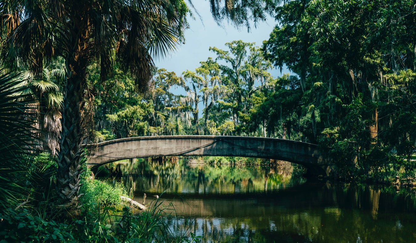 The lush foliage of New Orleans City Park in New Orleans, USA