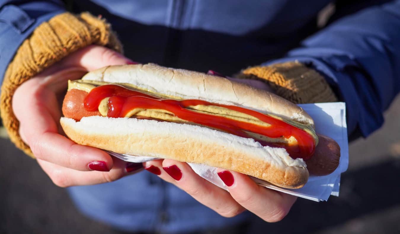 A street dog in New York City, USA with ketchup and mustard on it